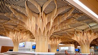 נמל תעופה הודו חדש, צילום: יחצ